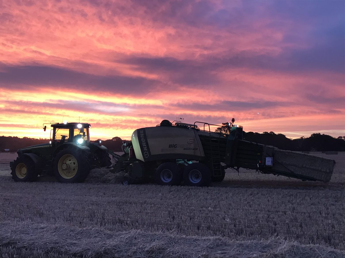 Hay Contracting & Sales Bloomfield Hay & Transport